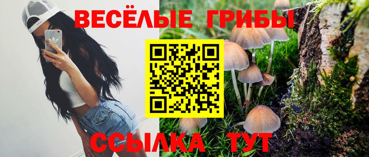 Галлюциногенные грибы мицелий  Вход с VPN  Касимов 