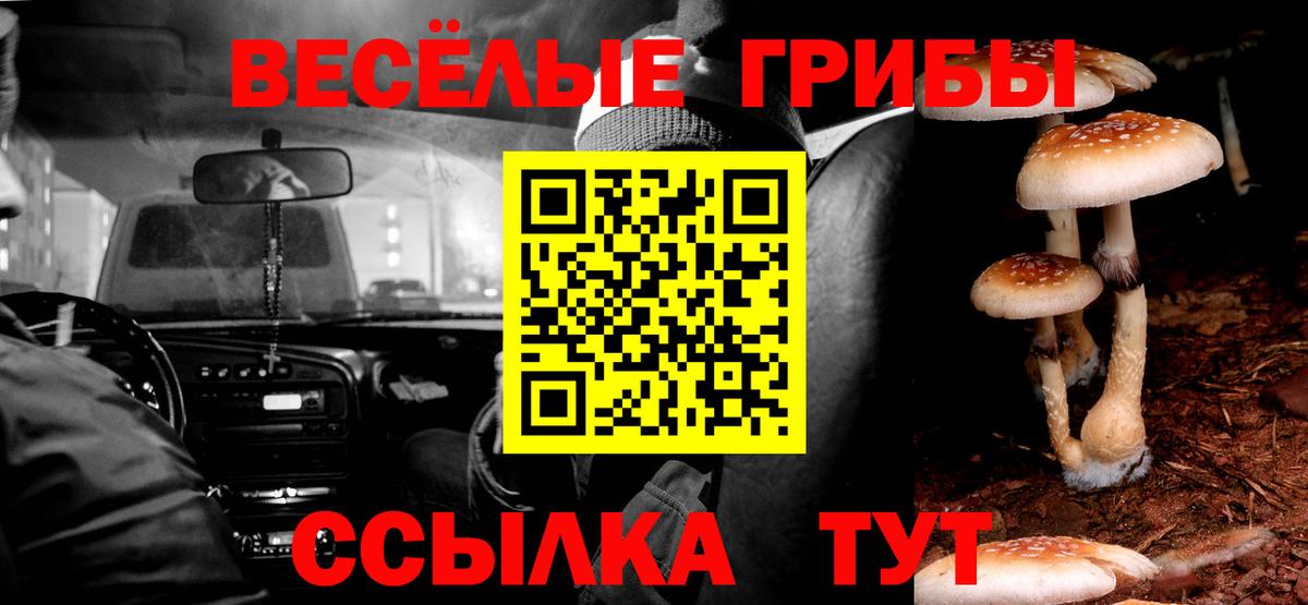 Псилоцибиновые грибы GOLDEN TEACHER Касимов